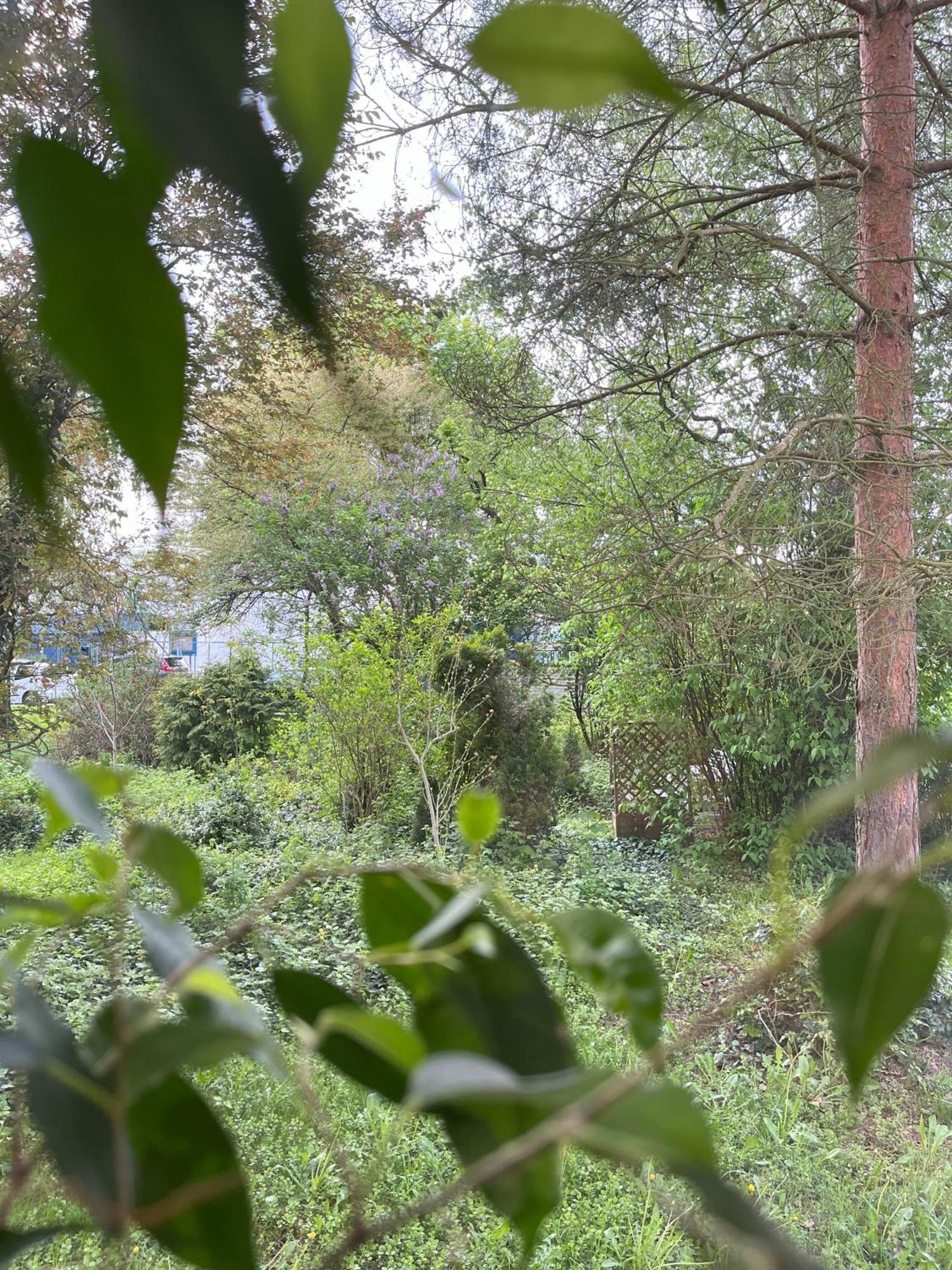 Greenthumb Praska คราคูฟ ภายนอก รูปภาพ